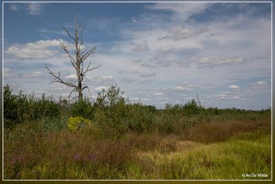 _MG_9522.jpg