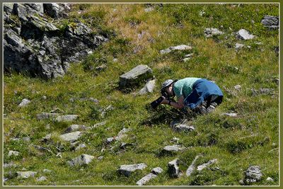 _DSC1600kopie.jpg