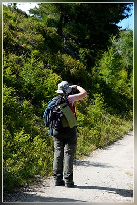 _DSC1213kopie.jpg