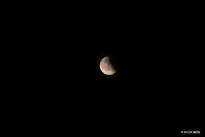 _MG_1385.jpg