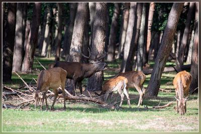 _MG_2140.jpg