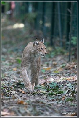 _MG_2288.jpg
