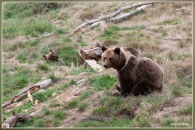 _MG_2893.jpg