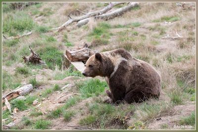 _MG_2897.jpg