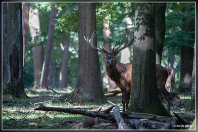 _MG_1800.jpg