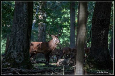 _MG_1832.jpg