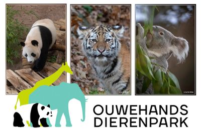 Ouwehands dierenpark 