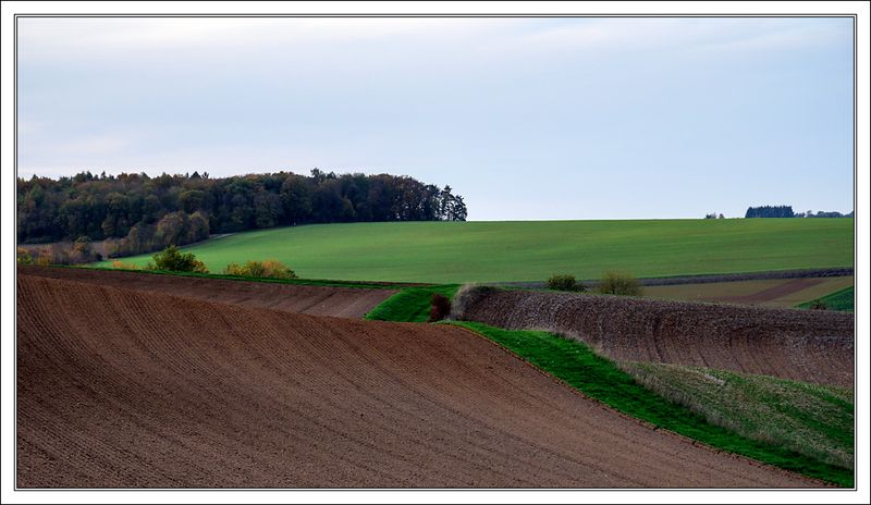 Fading Light ...