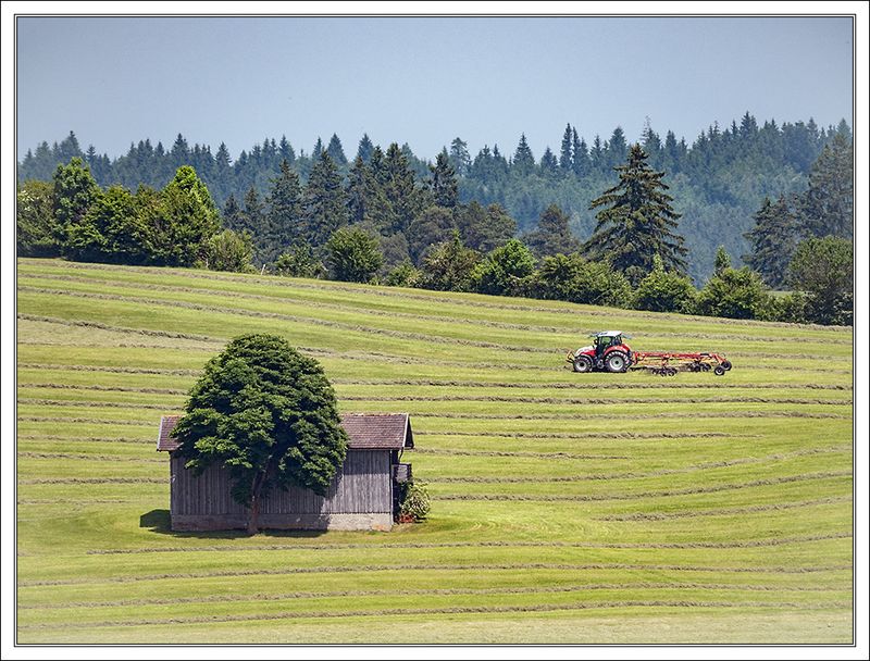 Field Work . Mowing 