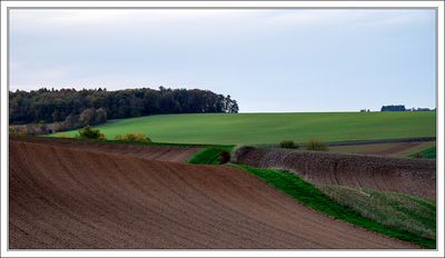 Fading Light ...