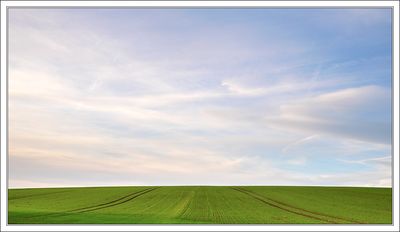 Natural Lines ...