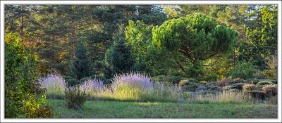 Late Afternoon Sun 