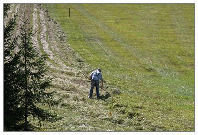 Making Hay ...