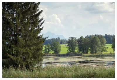 Natural Swimming Lake ...