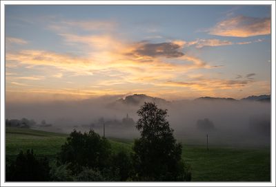 Morning Fog ...