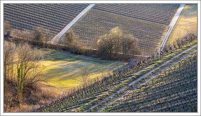 Landscapes 2025