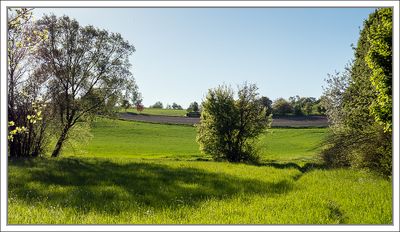 Landscapes 2025