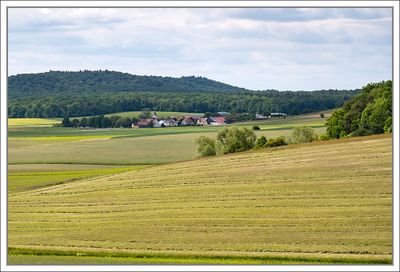Landscapes 2025