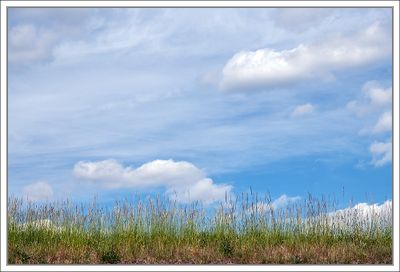 Landscapes 2025