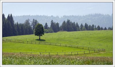 Landscapes 2025