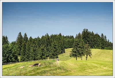 Landscapes 2025