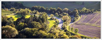 Landscapes 2025