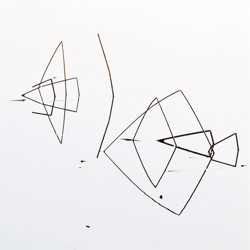 Pond Geometry