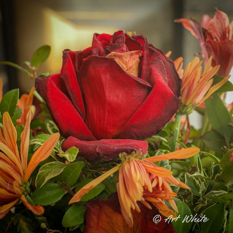 gardens_22