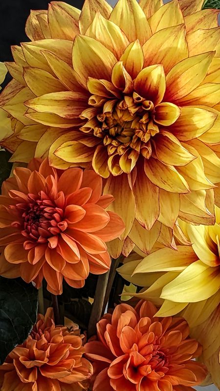 PXL_20230929_171614772-3.jpg