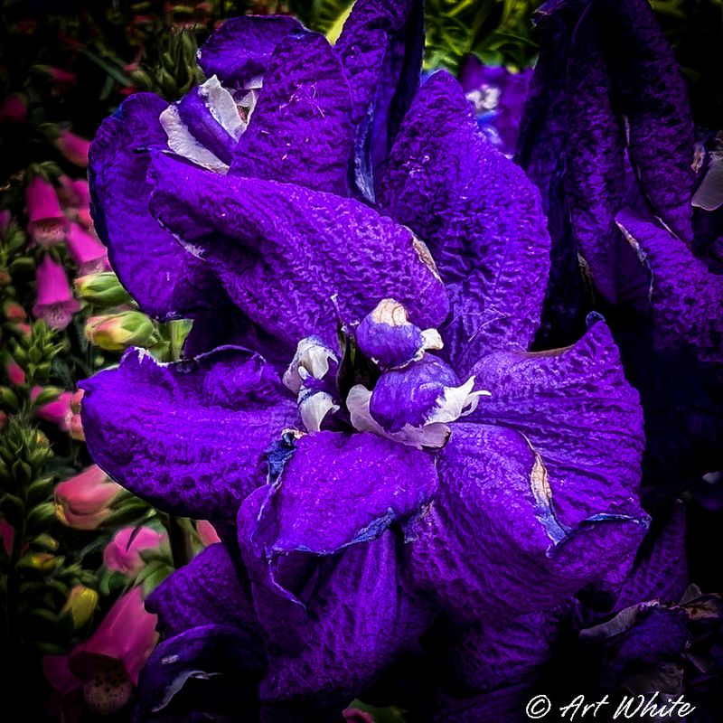 PXL_20240623_201344401-2.jpg