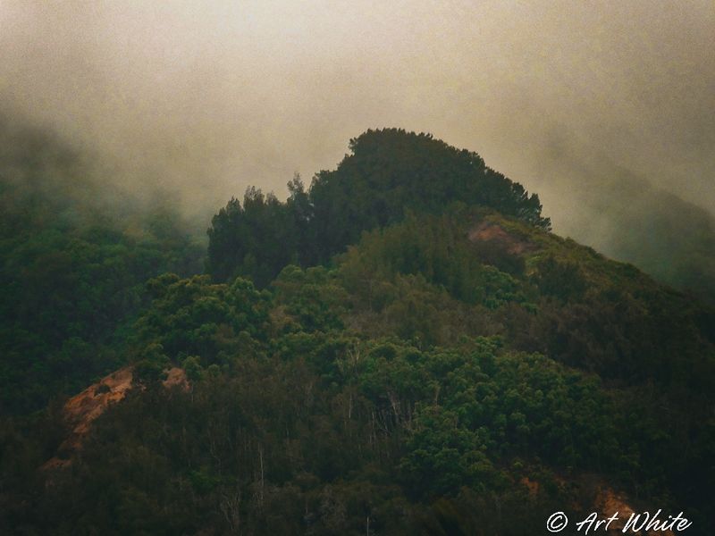 DSCF3376.jpg