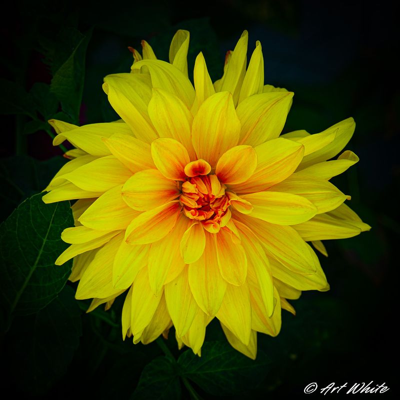 SAM_0569-4.jpg