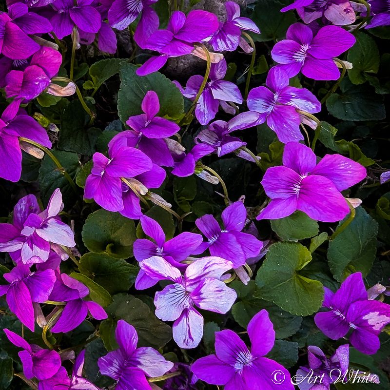 PXL_20250416_211529913.jpg