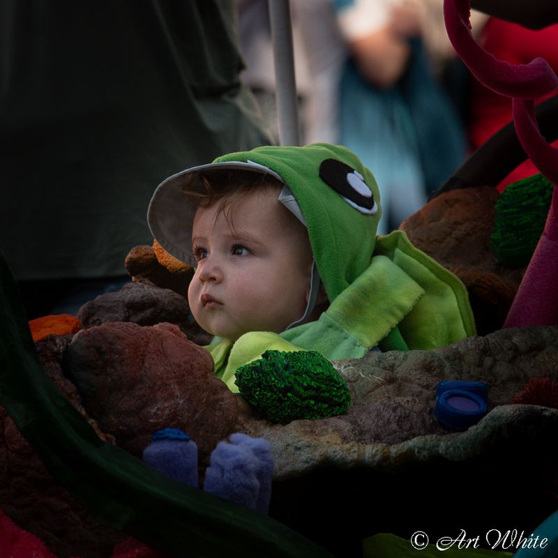 SAM_0775-2.jpg