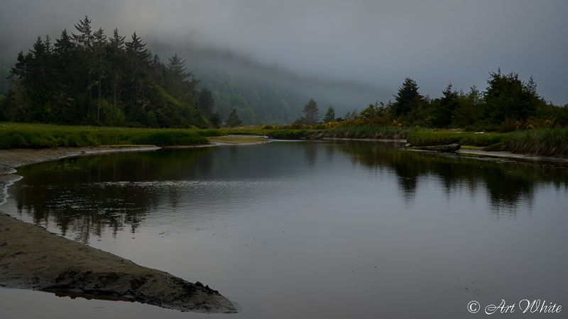 DSC_3514.jpg