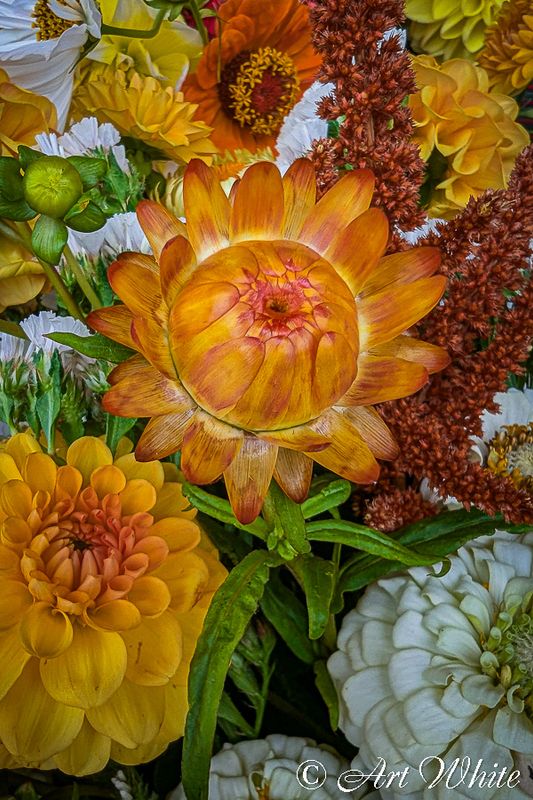 PXL_20250830_180017205.jpg