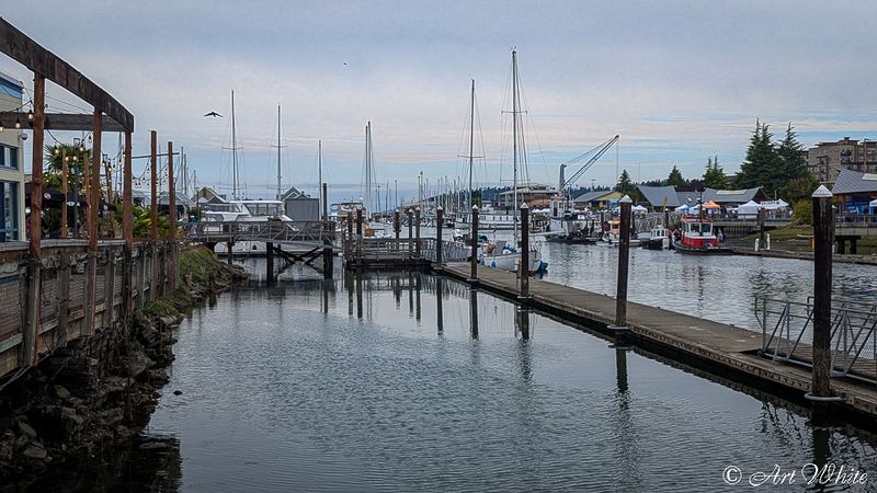 PXL_20250830_194731785.jpg