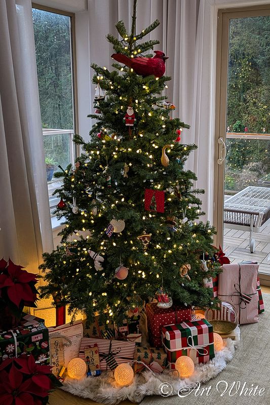 Family Christmas 2025