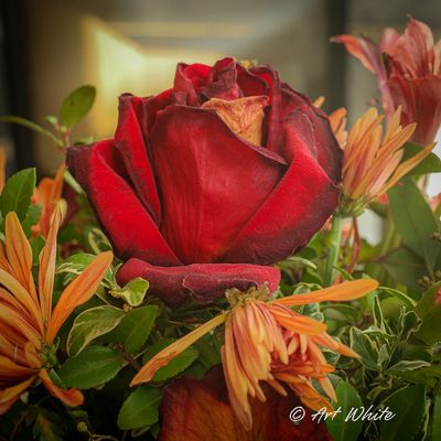 gardens_18