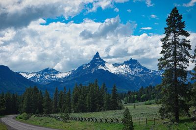 SAM_0471 (2).jpg