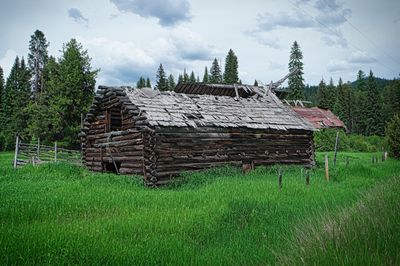 SAM_0172 (2).jpg