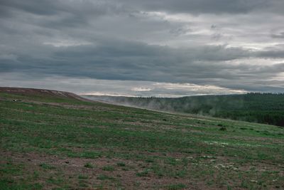 SAM_0209.jpg