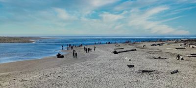 PXL_20230911_220202776-3 (1).jpg