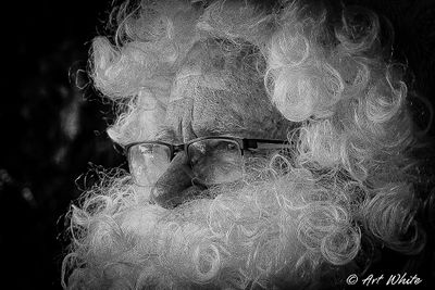 _2100393-2.jpg