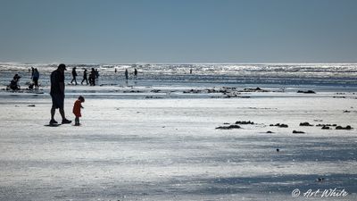 PXL_20240316_214023112 (1)-2.jpg