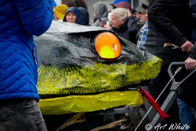 _2110255-2.jpg