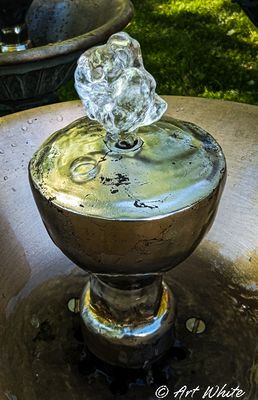 PXL_20240511_174931104-2.jpg
