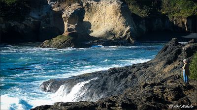 oregon_coast