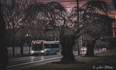 PXL_20241206_153306234-2.jpg
