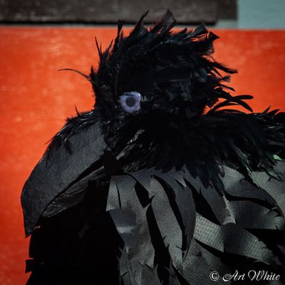 Procession of the Species 2025